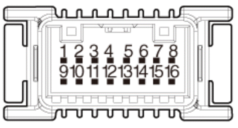 G15463061