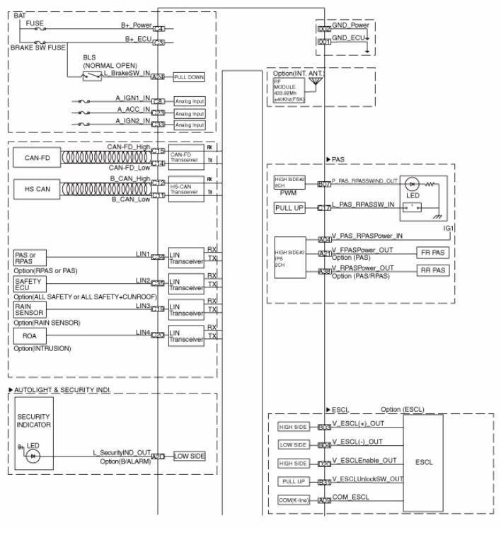 G15550082