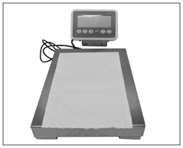G15551464