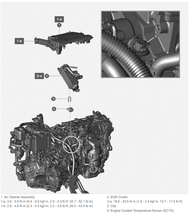 G15767086