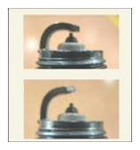 G15787456