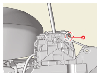 G15788256