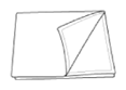 G16146294