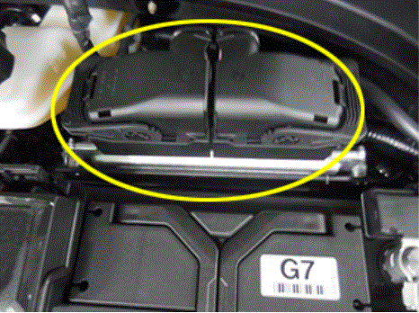 G16193268
