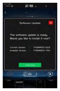 G16238560