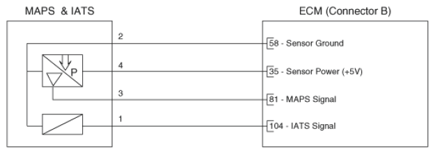G16544746