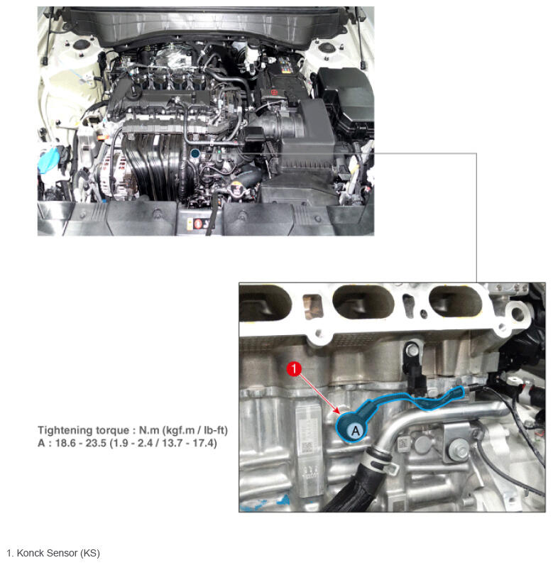 G16544772