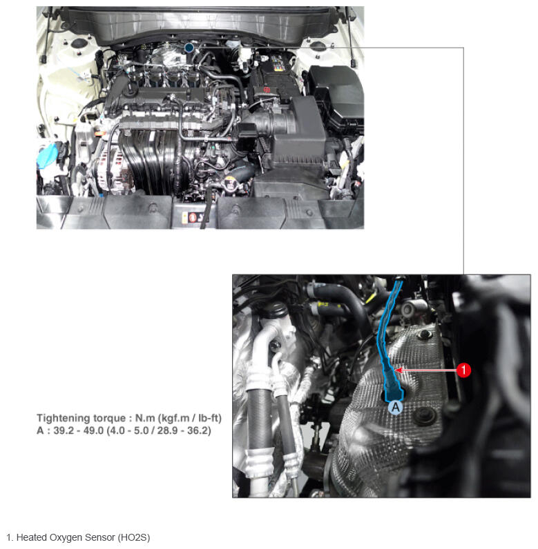 G16544779