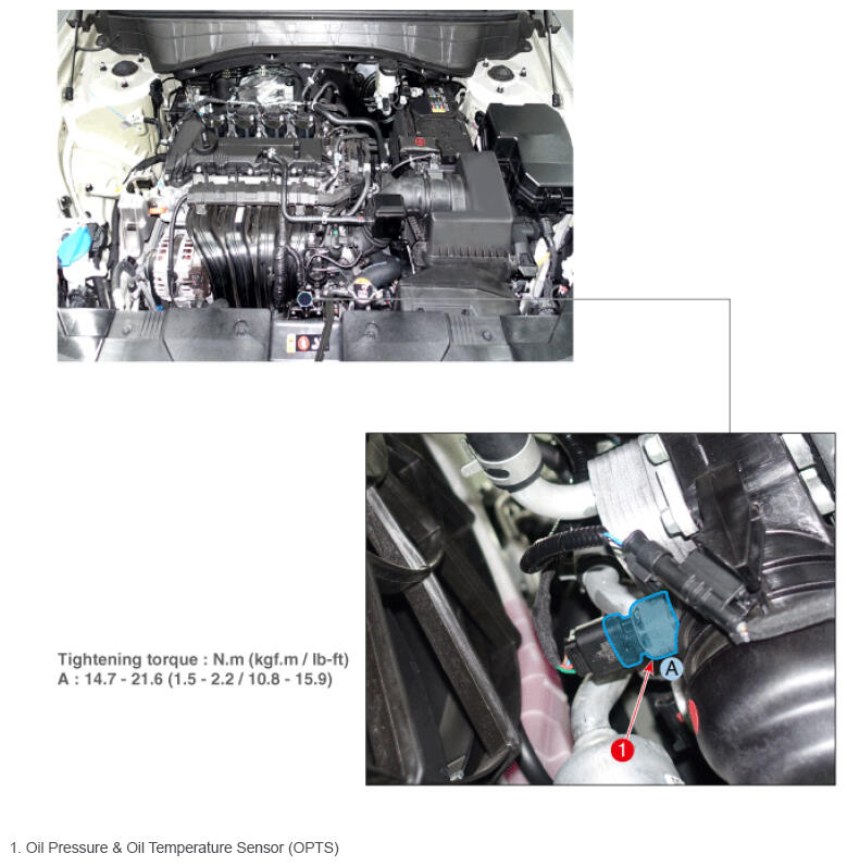 G16544789
