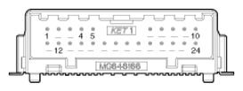 G16833124