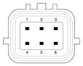 G16834181