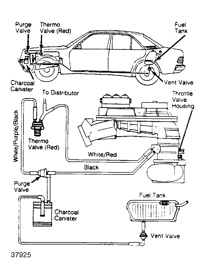 G37925