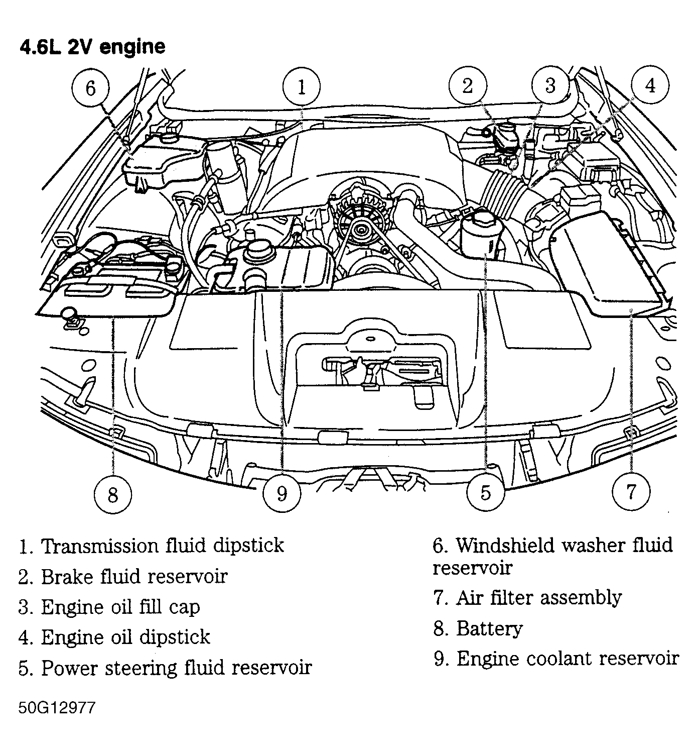G50G12977