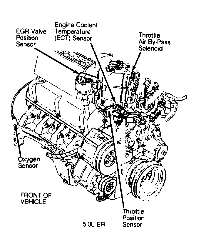 G53810