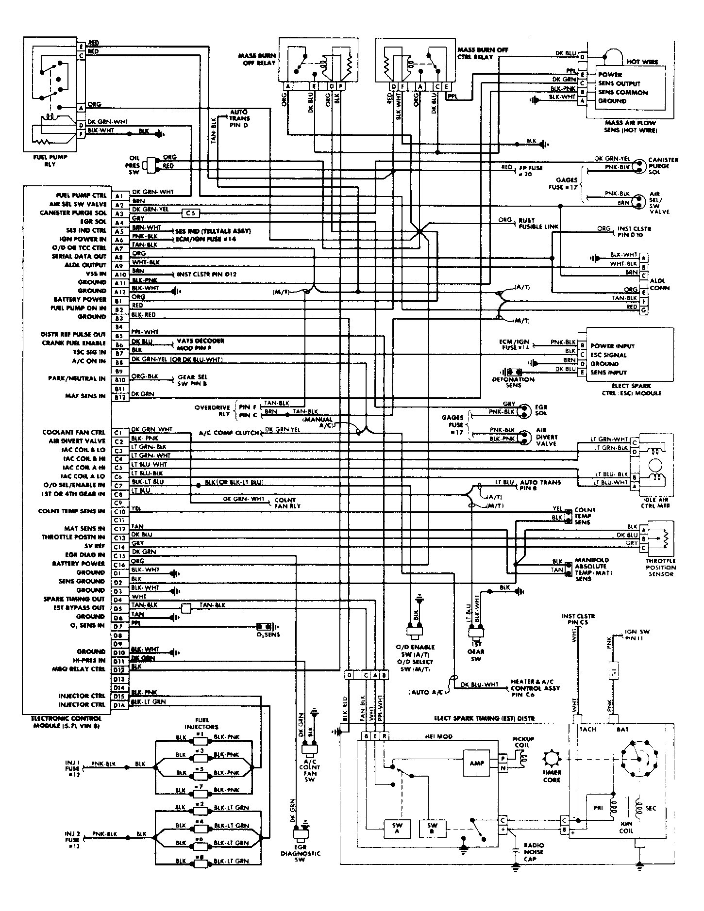 G54384