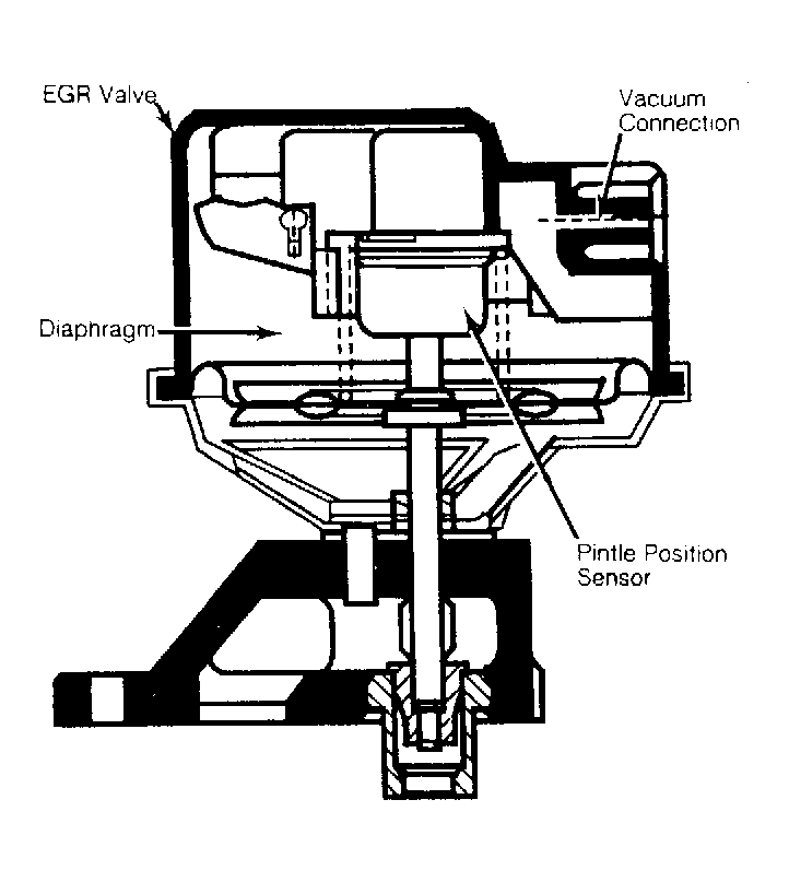 G55854