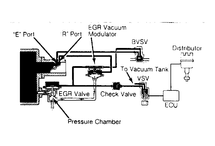 G67566