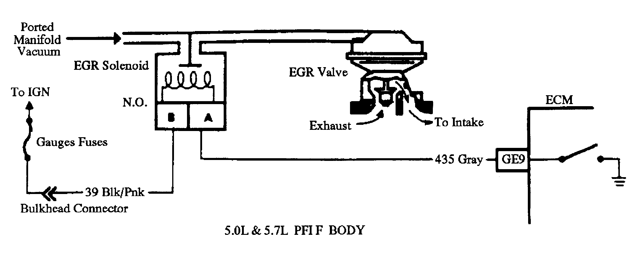 G91D07418