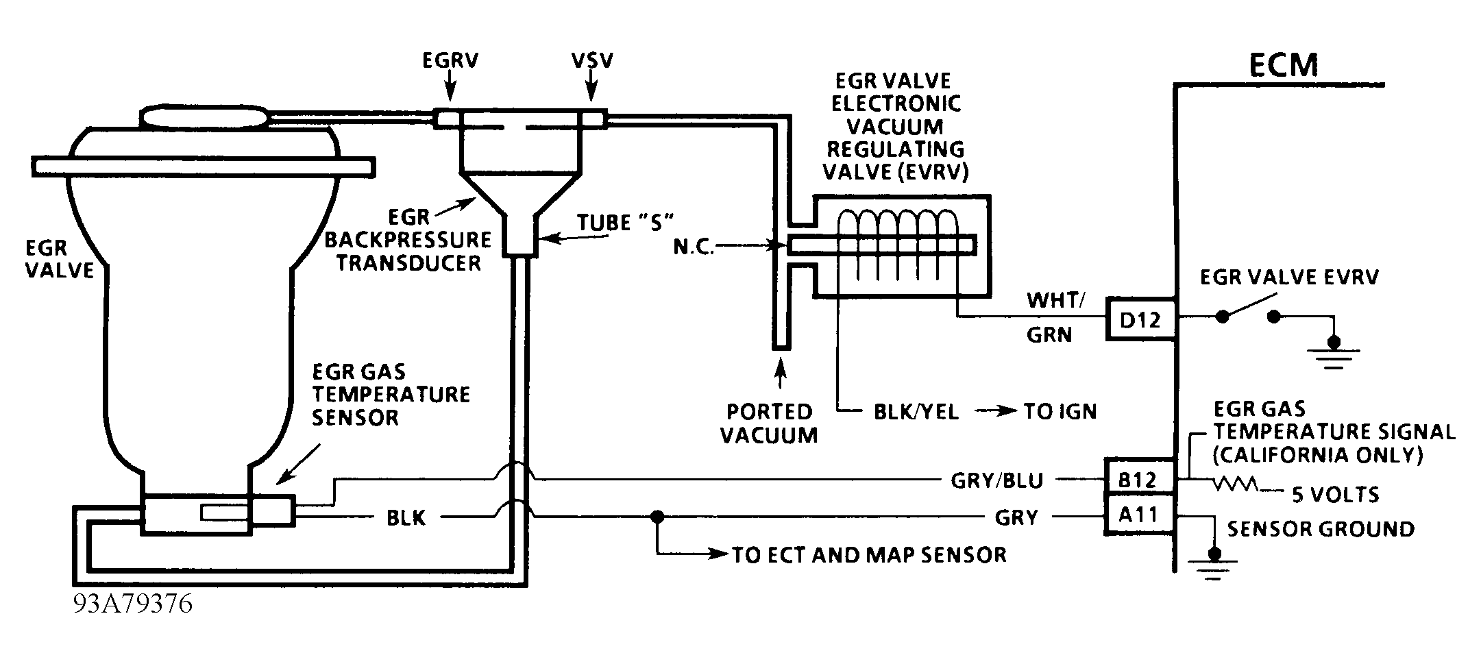 G93A79376