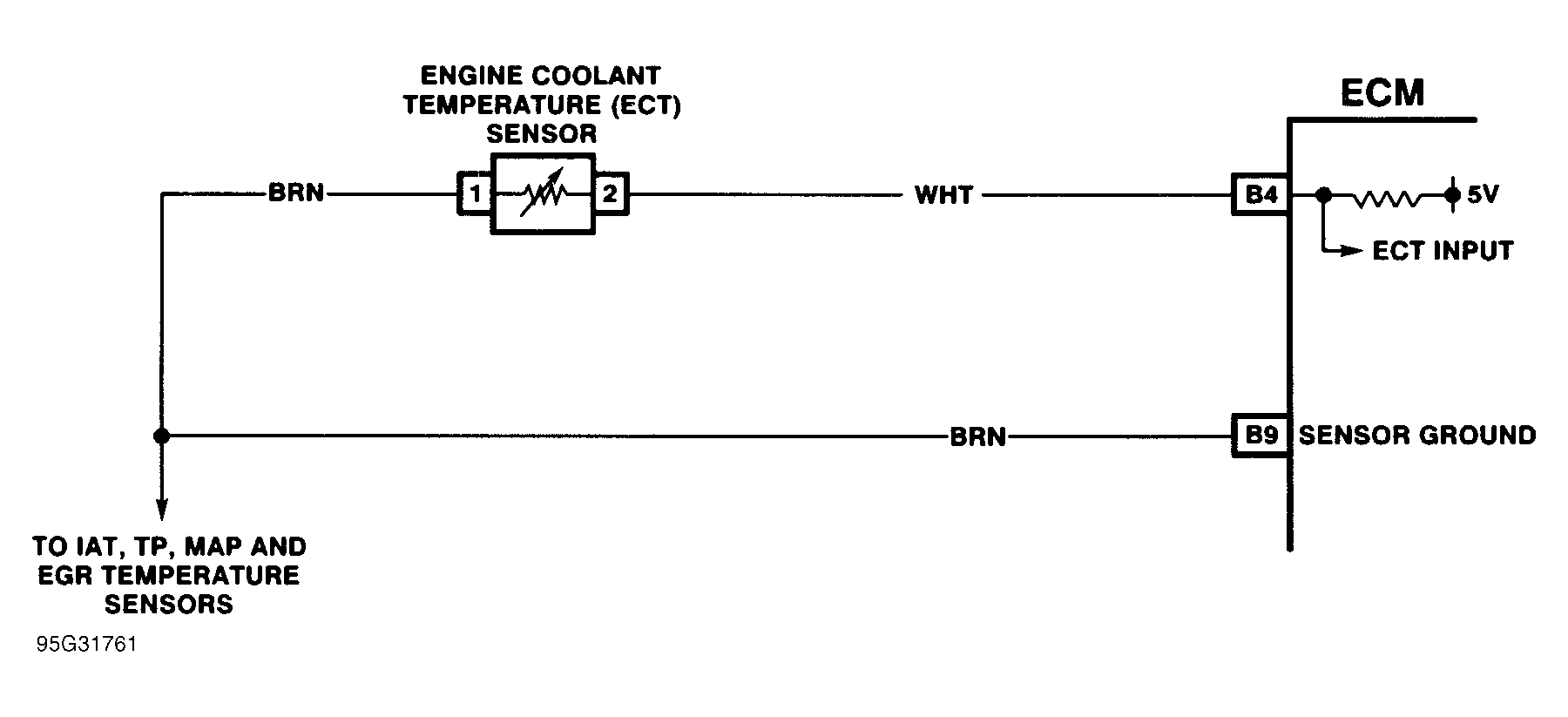 G95G31761
