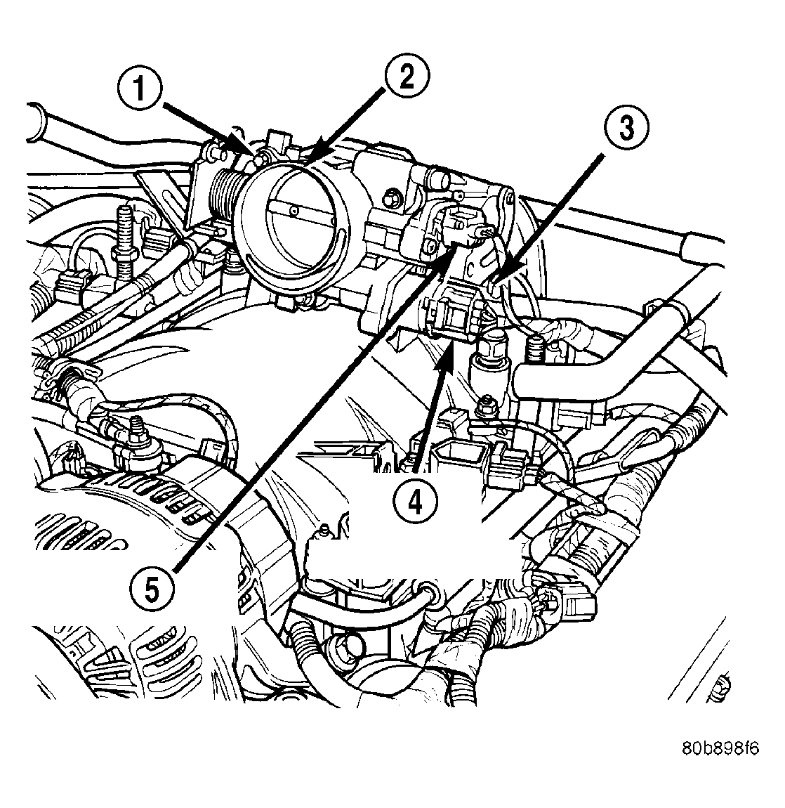 GC0006607