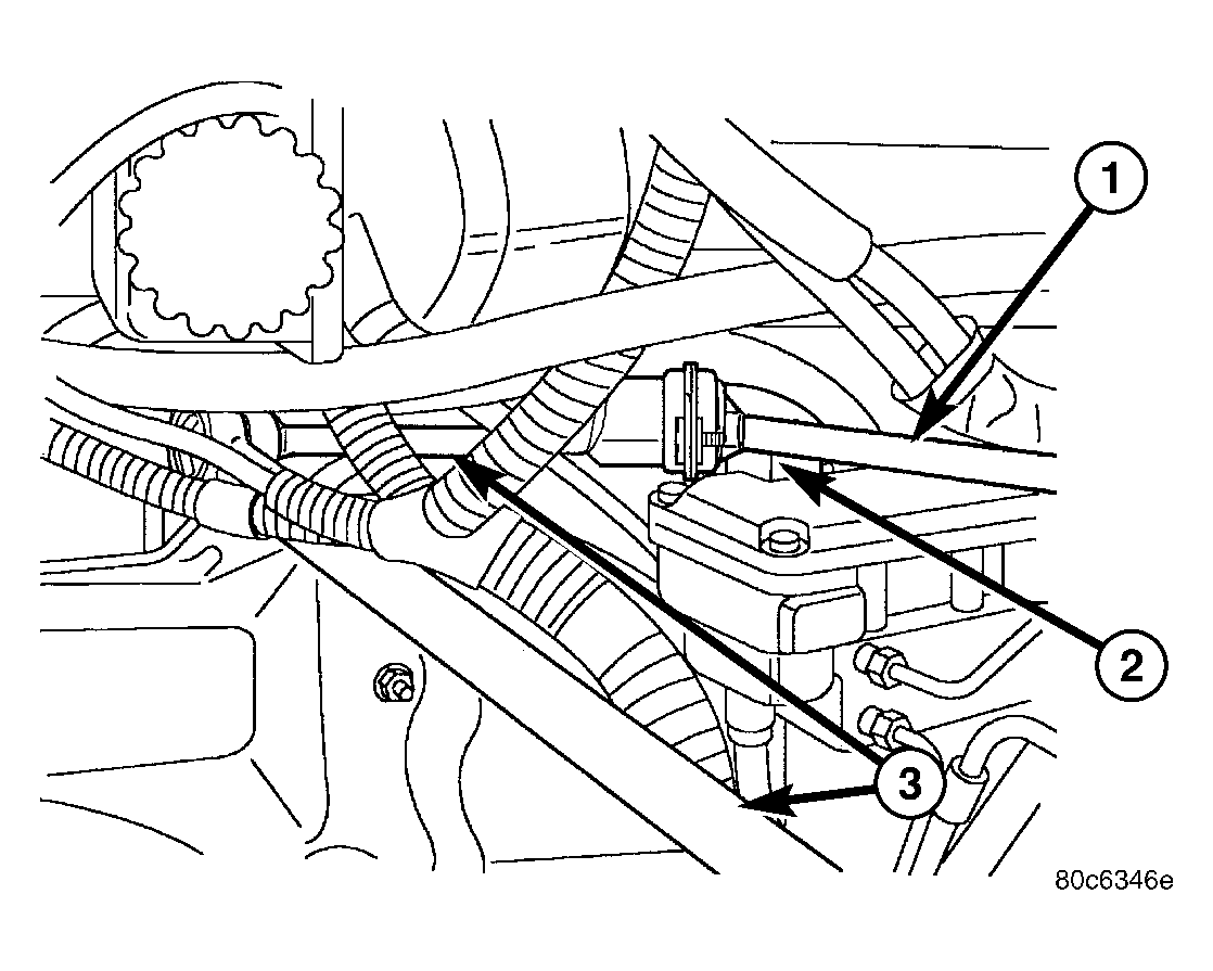 GC0025566