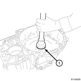 GC0084556