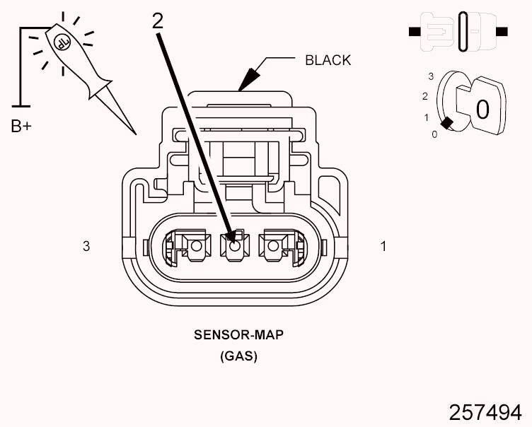 GC0099743