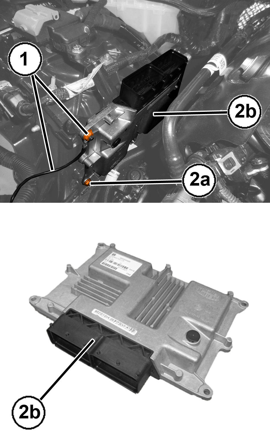 GC0193202