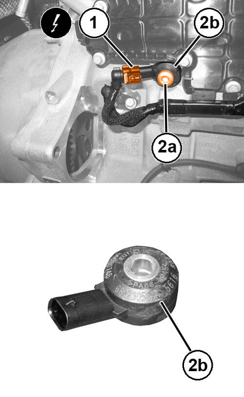 GC0195094