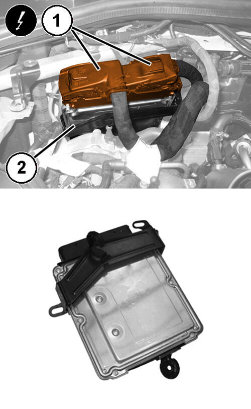 GC0197648
