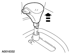 GF0020561
