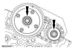 GF0029205