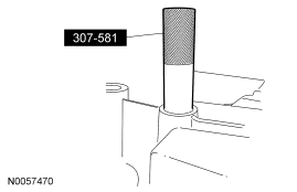 GF0031701