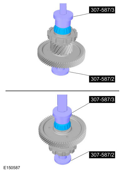 GFD20871