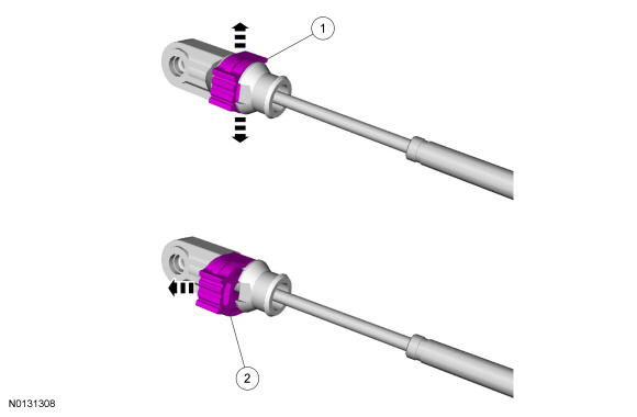 GFD36592