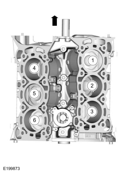 GFD530793