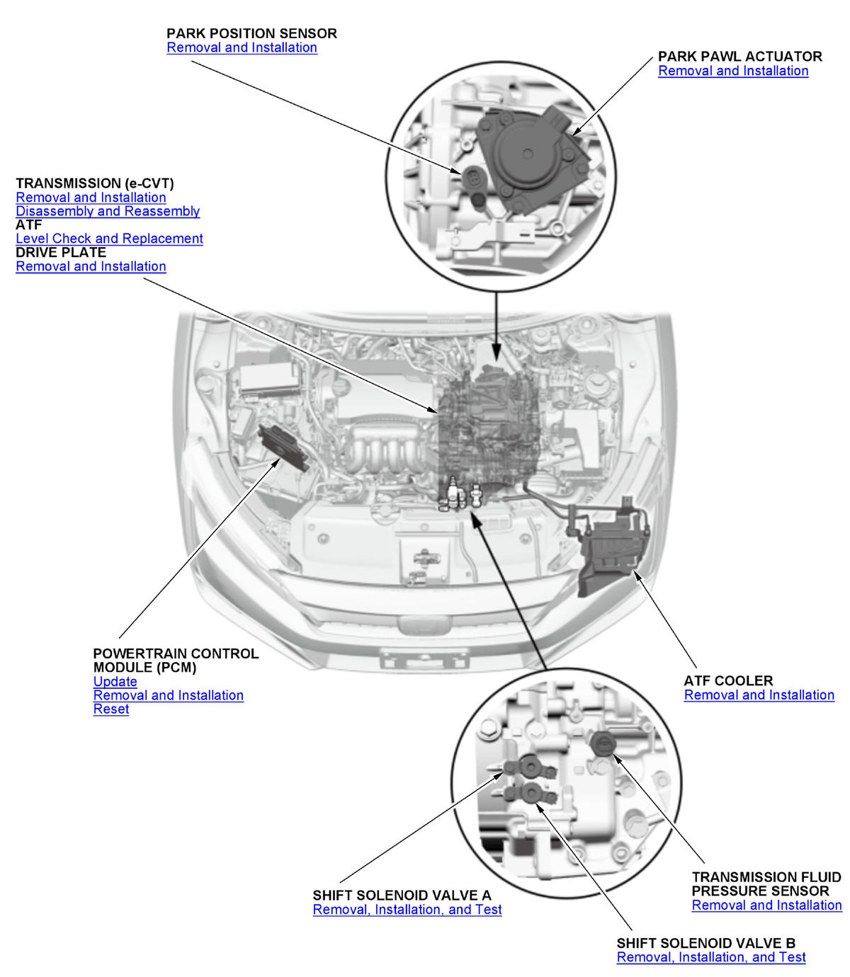 GHH413541