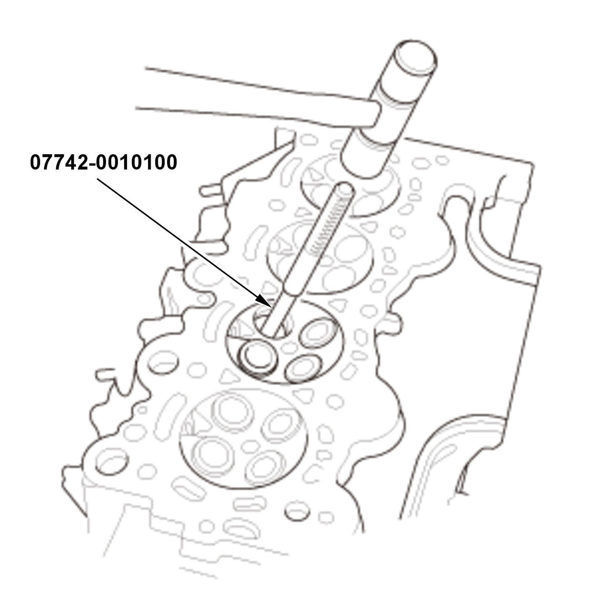 GHH426818