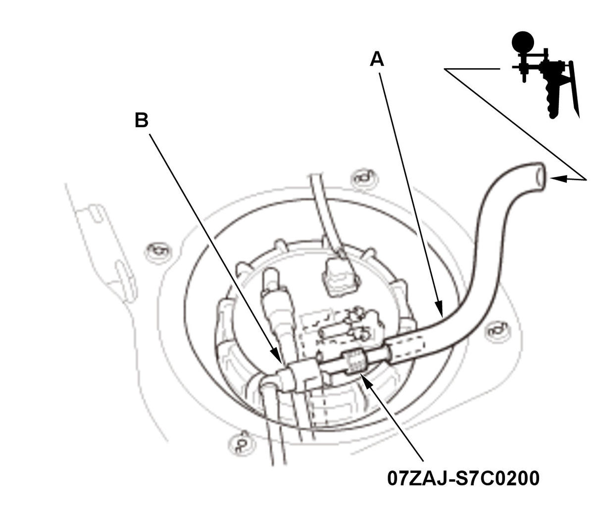 GHH435242