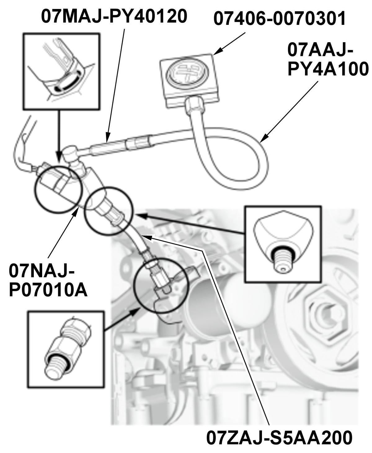 GHH485202