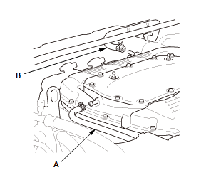 GHH73296