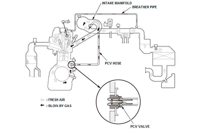 GHH81034