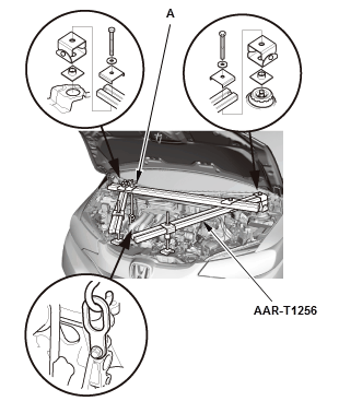 GHH81270