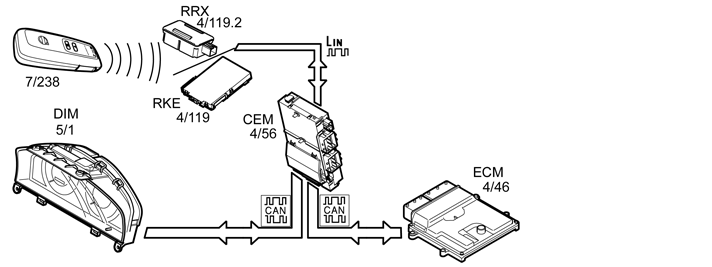 GLL1020779