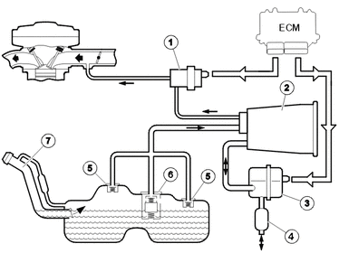 GLL1029640
