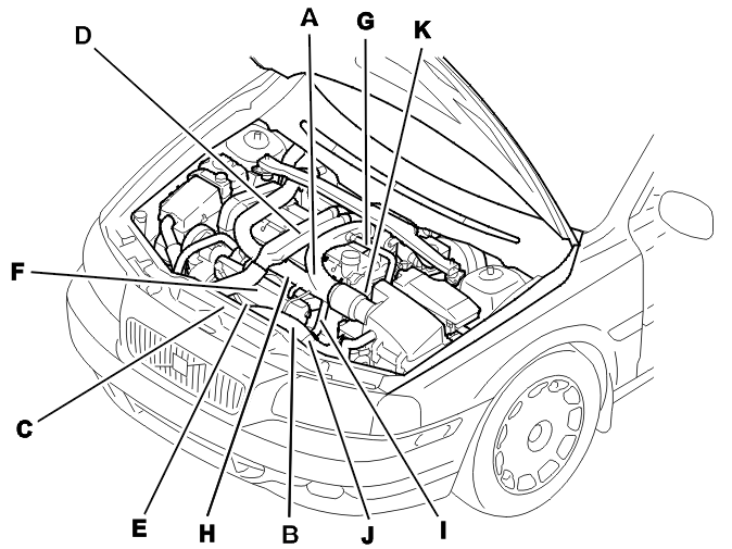 GLL128121