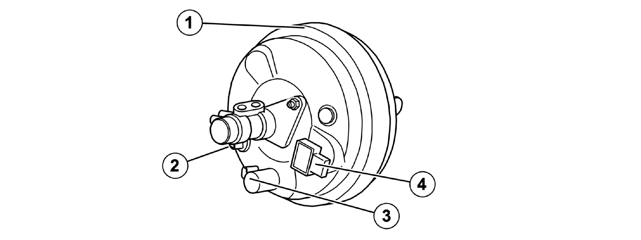 GLL153882