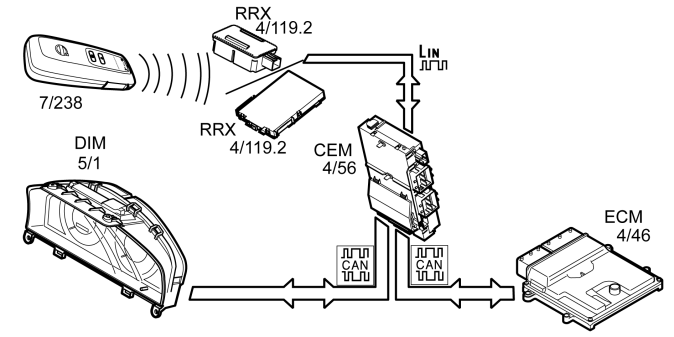 GLL167029
