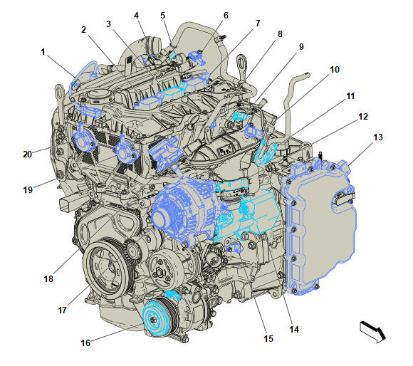 GM6200817
